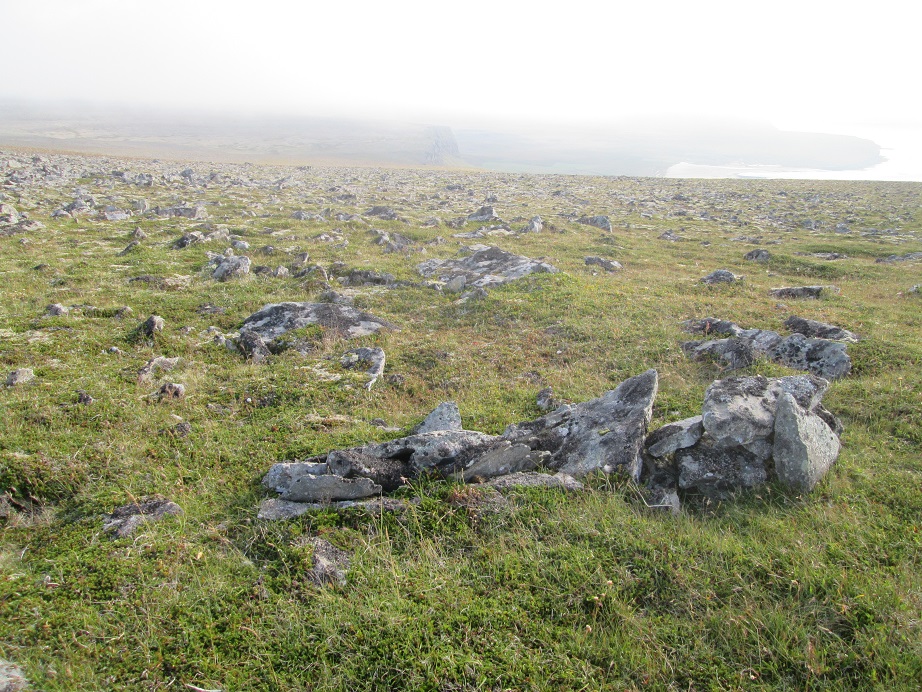 kollsleidi gardbrot